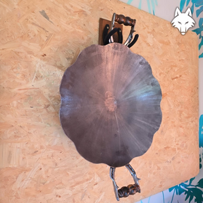Disco de Arado com Suporte de Parede 60CM
