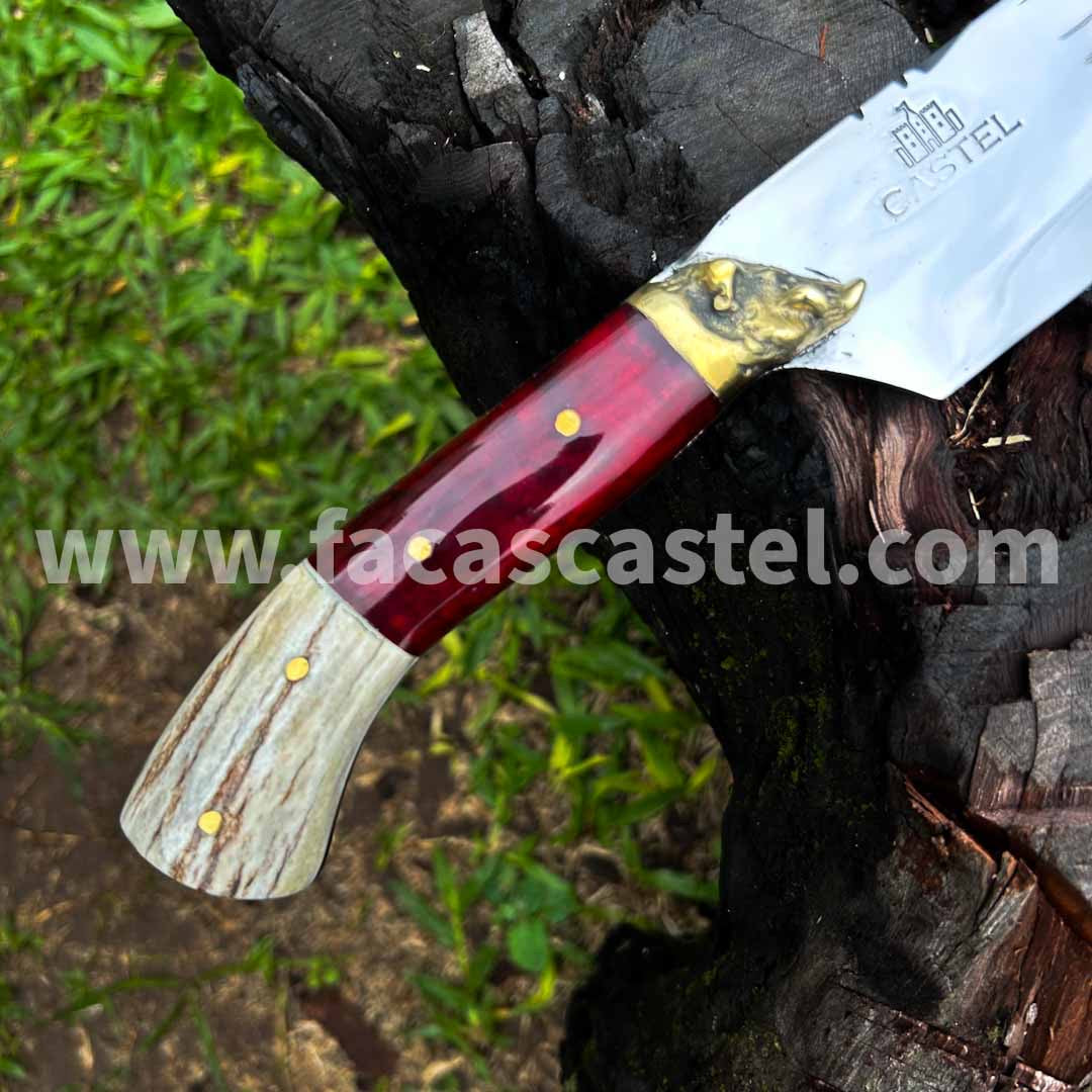 COLEÇÃO ZODÍACO